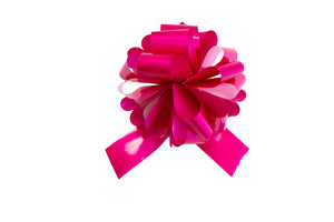 Recommended accessory Gift Bow