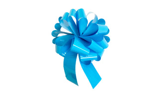 Recommended accessory Gift Bow