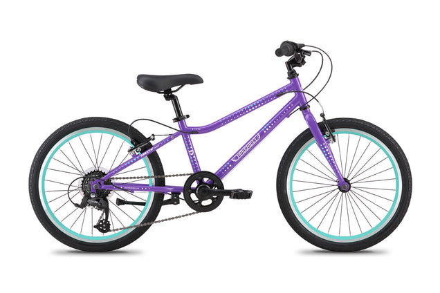 Thumbnail for 20 Inch Large Bike - Purple Aqua