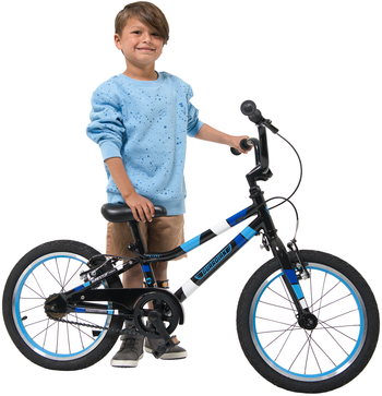 16 Inch Bike