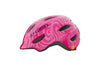 Giro Helmet